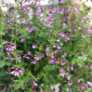 Meet your Posher, Kathryn